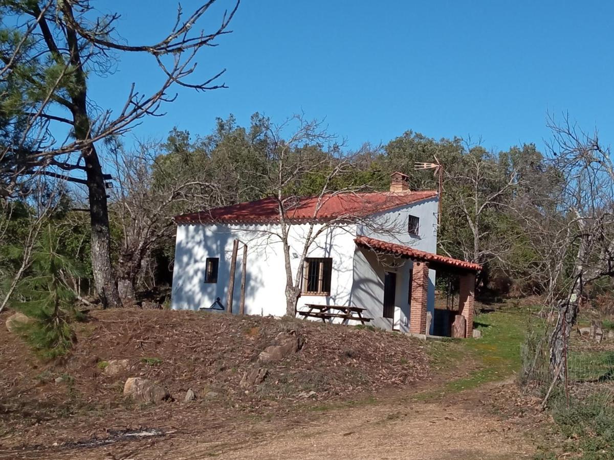Viviendas Rurales Del Robledo Castano de Robledo Zewnętrze zdjęcie