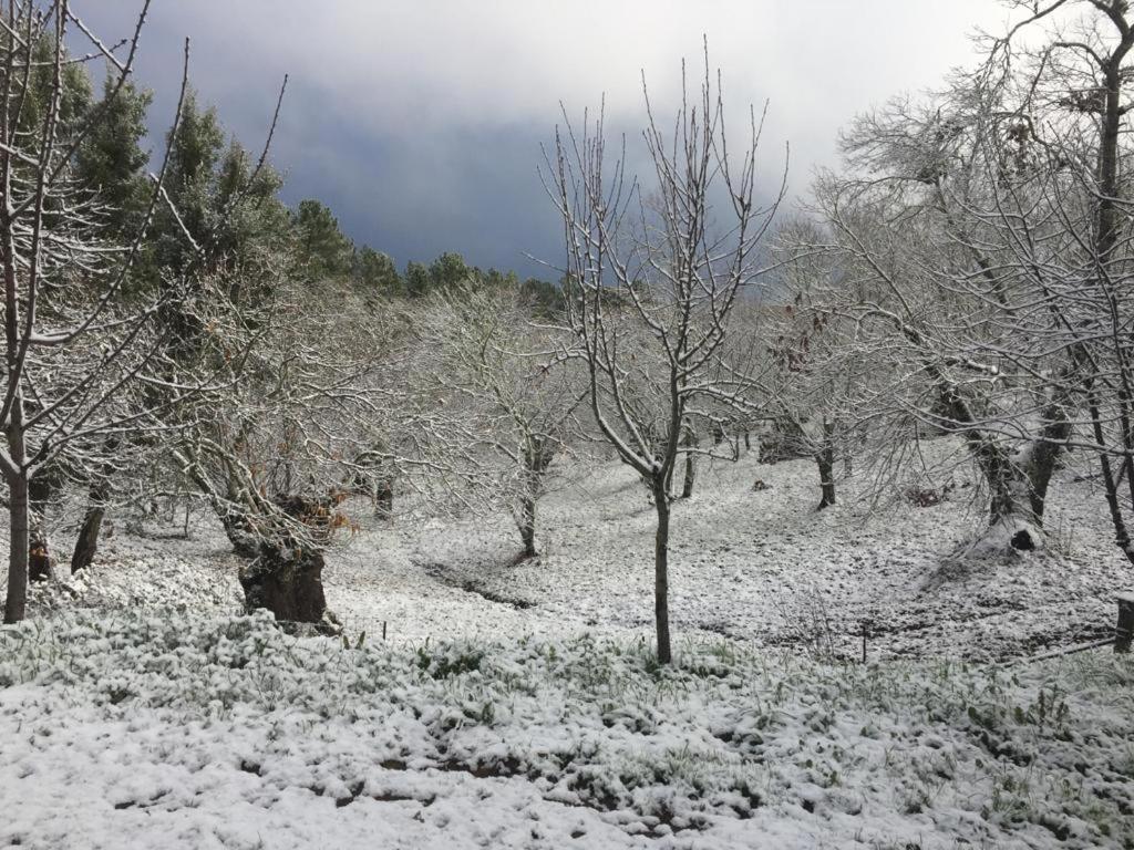 Viviendas Rurales Del Robledo Castano de Robledo Zewnętrze zdjęcie